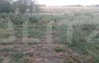 Teren intravilan, 500 mp, zona Doba - 2