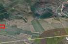 Teren agricol extravilan Sura Mare - 5000 mp - 1