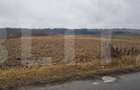 Teren extravilan, 4000 mp Jucu, zona Bosch - 2