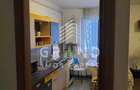 Apartament 1 Camera | 42 MP | Dambu Rotund/Corneliu Coposu - 5