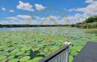 DOM00445 - Vila de poveste la lac cu ponton in Snagov - 16