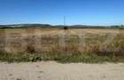 Teren intravilan, 2.250 mp, de vanzare, zona Chintelnic - 2