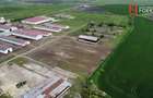 Teren intravilan cu suprafata de 58.340 mp, in Sanmartinul Sarbesc - 8