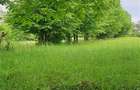TEREN DE VANZARE 500O MP PUNCT CHETRIS CERDAC SLANIC MOLDOVA - 5