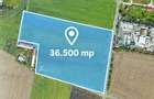 Teren 36.500 MP de vanzare Sannicolau Mic, Arad ID:RH-45694-property