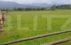 Teren extravilan, 6200 mp, zona Saru Dornei - Vatra Dornei - 1