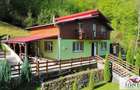 Casa de de vanzare in Pianu- Strungari - 1