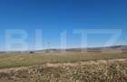 Teren intravilan, 29.000mp, front 102mp, utilitati in zona, Jucu de Sus - 4