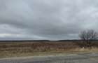 Teren 4.69ha (46900 mp), Petresti Dambovita la 4 km de A1 - 4