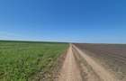 GRADISTEA - Sat Sitaru, teren agricol 11.961mp, ideal investitie - 7