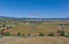 Teren Bran -Sohodol, Strada La mesteceni, 6900mp - 3