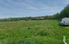Teren de vanzare intravilan 5000 m2 Cisnadie zona SOMA - 2