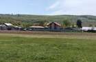 Teren extravilan 7.200 mp Bordea - Grajduri/ Oportunitate Investiție  - 10