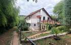 Leamna de sus, casa cu piscina, 2000mp - 5