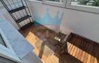Apartament 2 Camere 1 Mai Bucuresti - 10