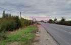 DE VANZARE TEREN 2000 MP  -  COSERENI( il ) - 2