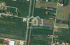 Teren Construibil 2.900 mp – Jucu de Mijloc, zona Panemar