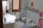 casa / vila Craiovei , RENOVATA /mobilata/utilata ,finisaje superioare - 29