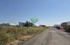 Teren de vanzare cu autorizatie pentru 2 hale - Otopeni - 10.000 mp - 17