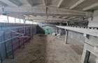 Hala industriala de inchiriat, 600 mp, Codlea, Brasov - 1