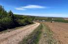 Parcele teren pentru cabane - sat Rusciori 567 mp - direct de la proprietar! - 5