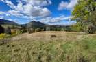 Teren 1,5 hectare - la Piatra Fantanele - 2