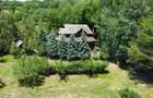DOMENIU DE 2.1 HA CU 2 CABANE, LAC SI PADURE - OPORTUNITATE PENTRU TURISM SI RET - 12