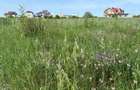 Teren construibil 633 mp | Costinești | Lângă mare și la câteva minute de Nibiru - 2