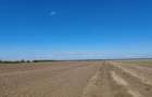 Teren de 19.000 mp de vanzare in Ștefanestii de Jos - ideal pentru hale. - 3