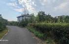 Lilieci | Teren intravilan 1.584 mp | Front 37 m