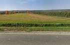 Teren intravilan 13060 mp | Deschidere 64 m la DN72A Voinesti - 3