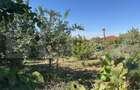 Casa de vanzare, 160 mp, teren 1350 mp, zona IC Bratianu