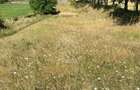 Teren intravilan 2600 mp - pretabil casa/investitie-Zona Aerodrom - 7
