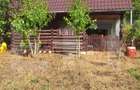 Teren de vanzare, 4847 mp, cabana, zona Nadrag - 1