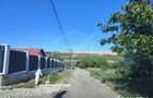 Teren 500 mp la limita intravilanului – Valea Chintaului - 3
