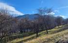 Teren intravilan Sohodol, priveliste catre Bucegi, Piatra Craiului,Magura Codlei - 10