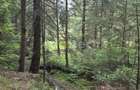 De vânzare casă de vacanță deosebită | Călățele Pădure – Dealul Negru, Cluj - 15