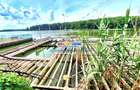 Vila stil florentin pe malul lacului,teren4043mp iesire la lac de 25ml - 6