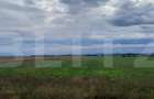 Teren extravilan de vanzare, 21.750 mp, Satu Mare - 1
