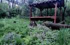 Apartament 1 camera Pet Friendly Calea Motilor - 9