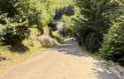 Valea Rosie, teren intravilan 3434mp, langa padure. - 9