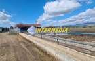 Ferma de vanzare in apropiere de Alba Iulia - 10