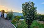 Casa 4 camere, constructie 2015, teren 1000 mp, Varsatura - 16
