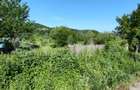 Teren parcelat intravilan 1040 mp – Cobia, sat Mislea – ieșire la pădure - 5