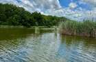 Teren de vanzare SNAGOV pe Lac si Padure - 7