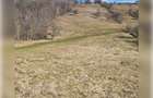 Teren de exceptie 3,1 ha intravilan | Panorama, utilitati, acces dublu | Sard - 3