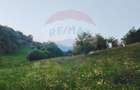 Comision 0! Teren intravilan 2.339 mp Barsana – oferta rara - 2