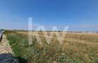 Teren Intravilan i Industrial I 2.000 mp – Brasov, Str Carierei - 9