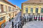 De vânzare/ închiriat Apartament istoric, 2 camere, Central Arad - 10