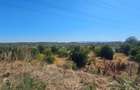 Teren intravilan 14.168 mp – pozitie excelenta la intrarea in Braila - 4